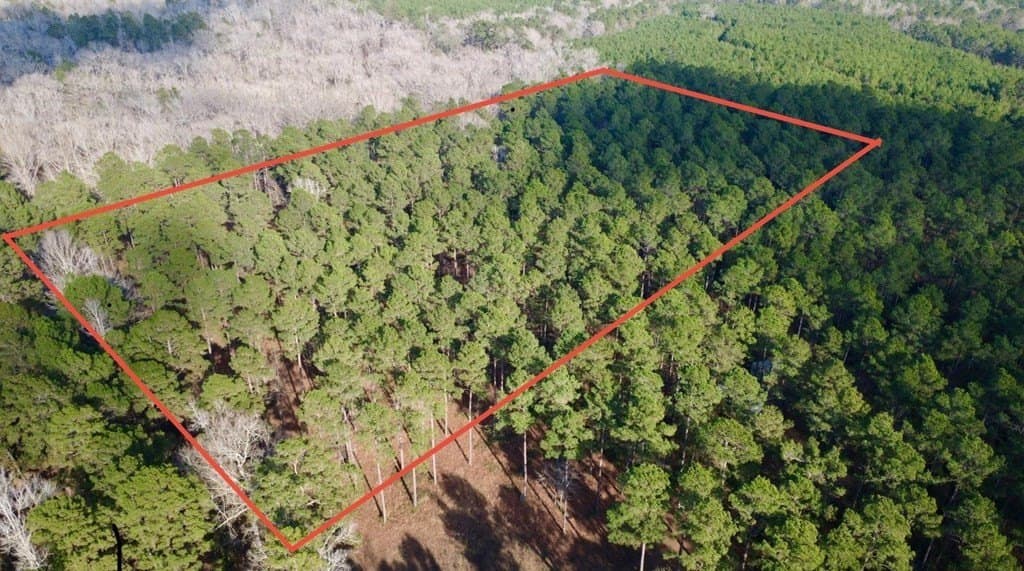 10 acres in HOUSTON County - photo 2