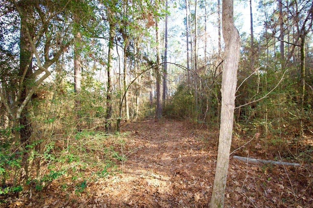 10 acres in HOUSTON County - photo 16