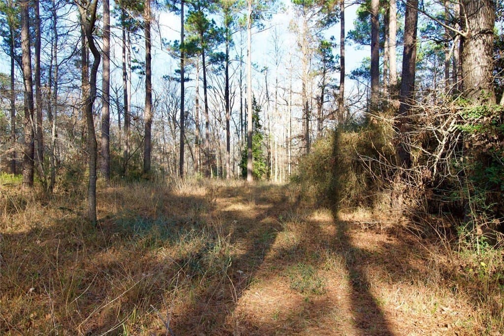 10 acres in HOUSTON County - photo 14