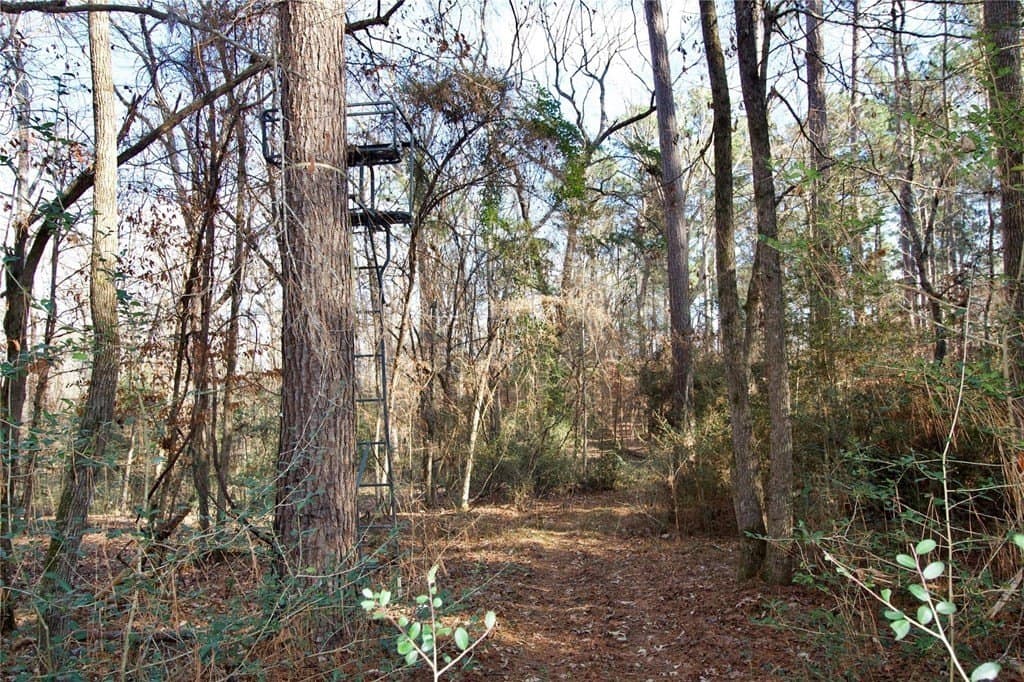10 acres in HOUSTON County - photo 19