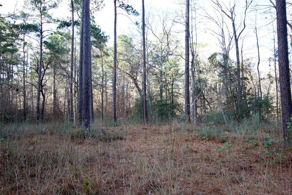10 acres in HOUSTON County - photo 15