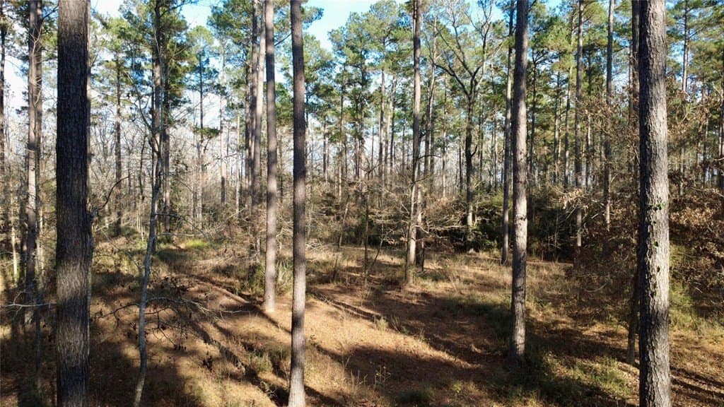 10 acres in HOUSTON County - photo 4