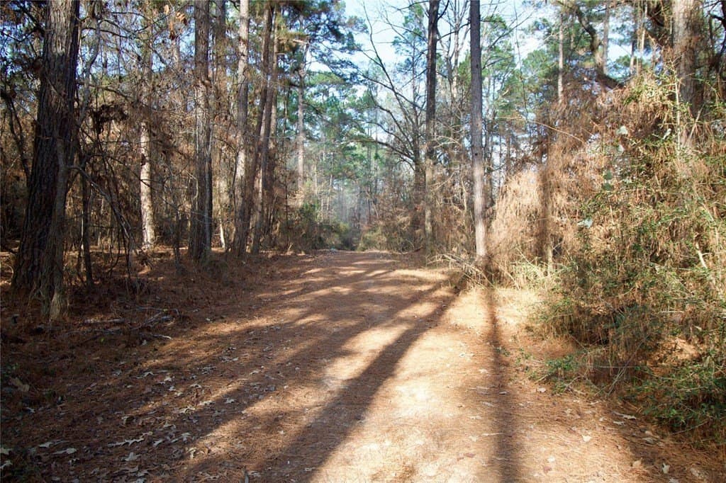 10 acres in HOUSTON County - photo 8