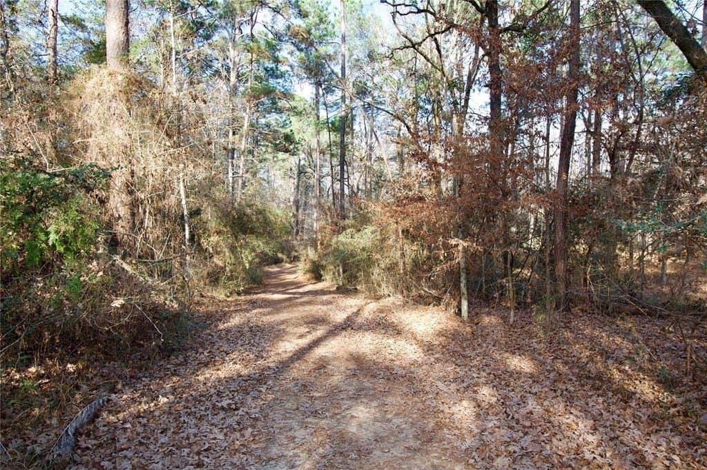 10 acres in HOUSTON County - photo 9