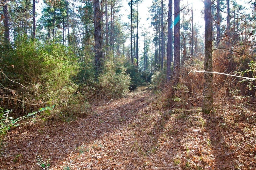 10 acres in HOUSTON County - photo 20