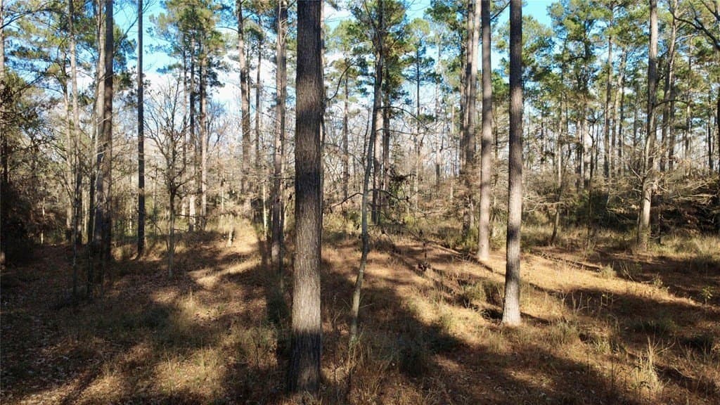 10 acres in HOUSTON County - photo 5