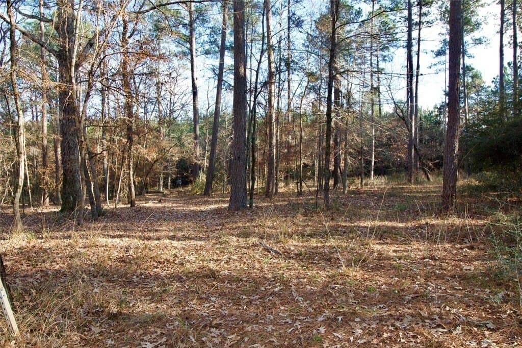 10 acres in HOUSTON County - photo 26