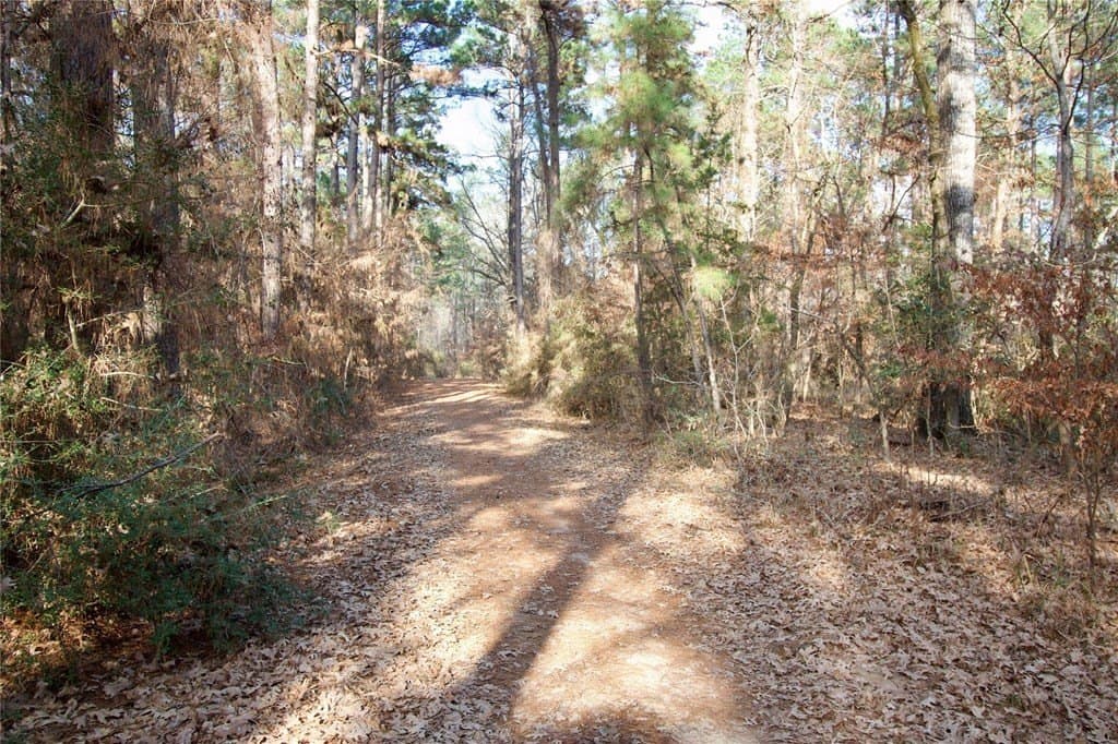 10 acres in HOUSTON County - photo 7