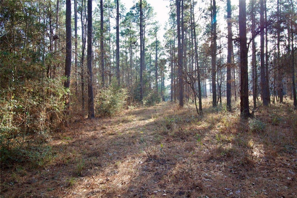 10 acres in HOUSTON County - photo 13