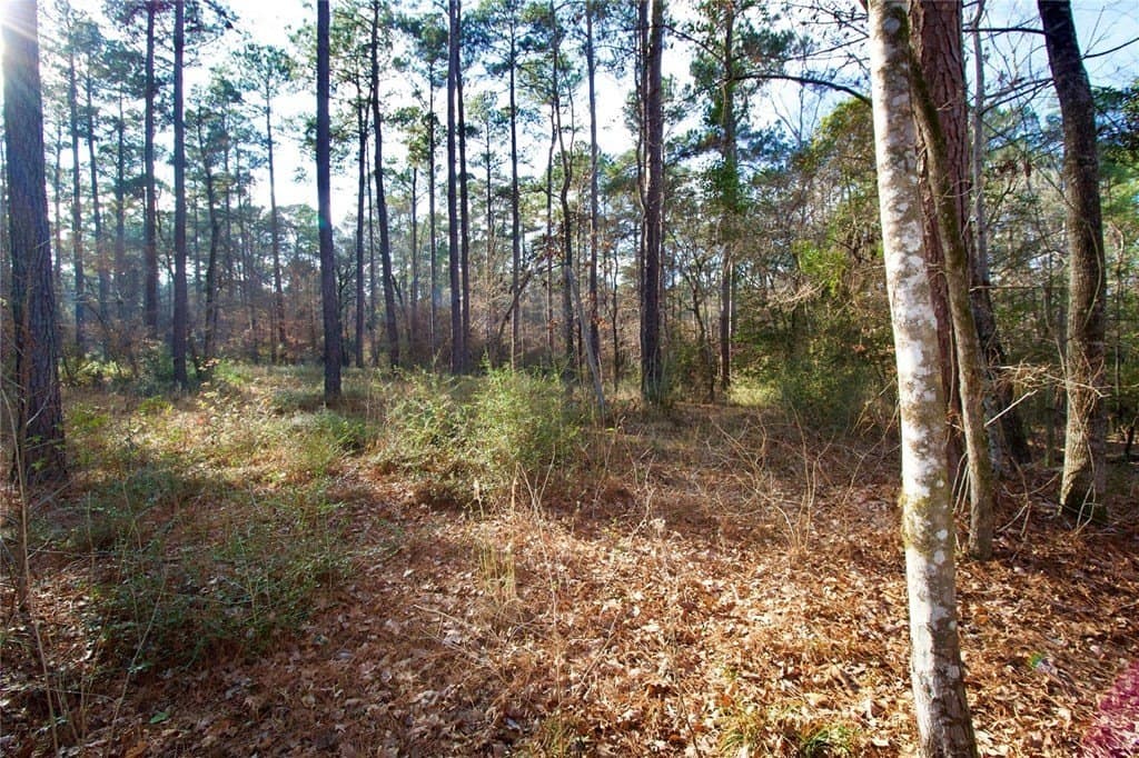 10 acres in HOUSTON County - photo 17