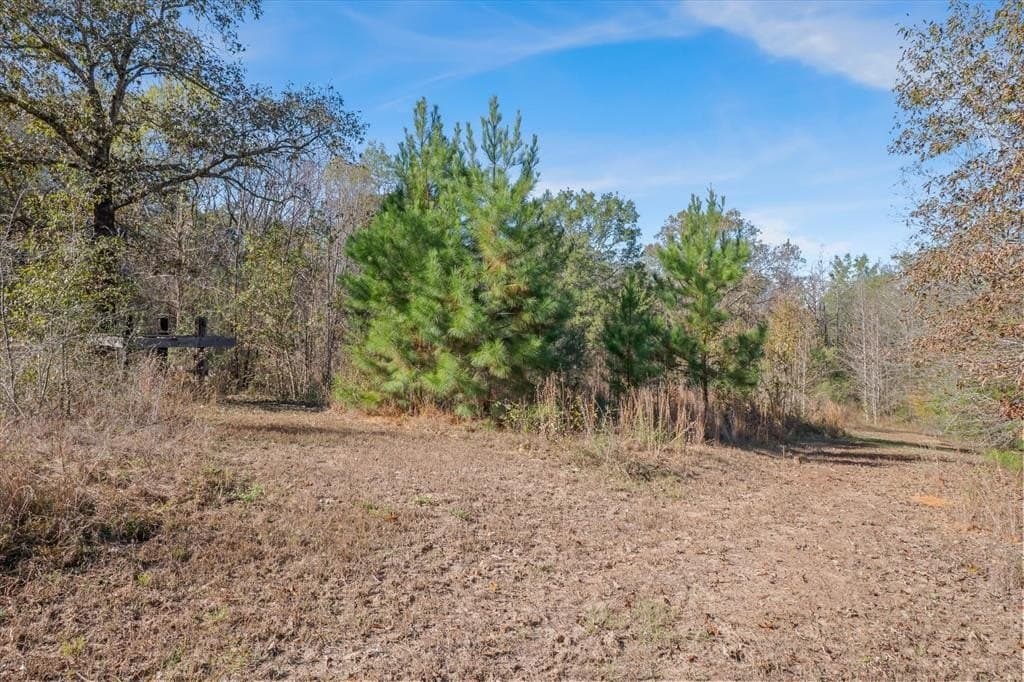 19.85 acres in Van Zandt County - photo 36