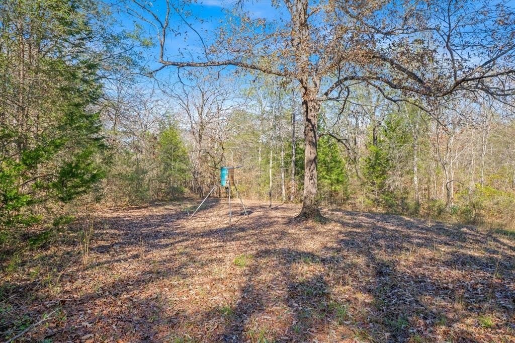 19.85 acres in Van Zandt County - photo 34