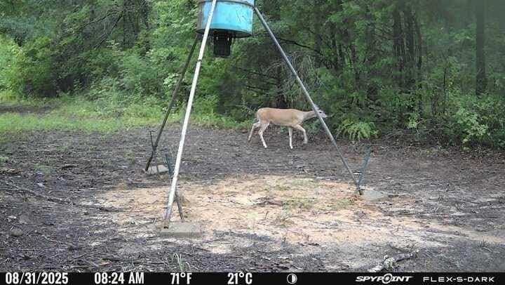 19.85 acres in Van Zandt County - photo 4
