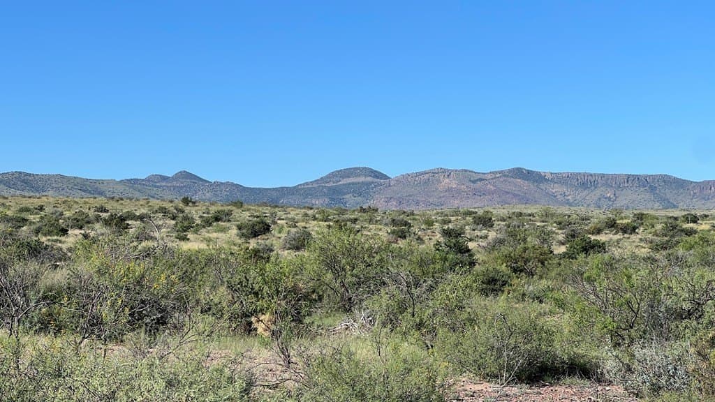11.3 acres in Brewster County - photo 4