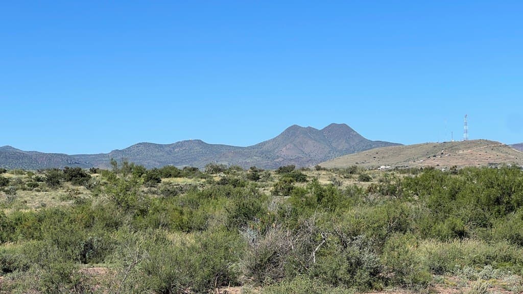 11.3 acres in Brewster County - photo 2