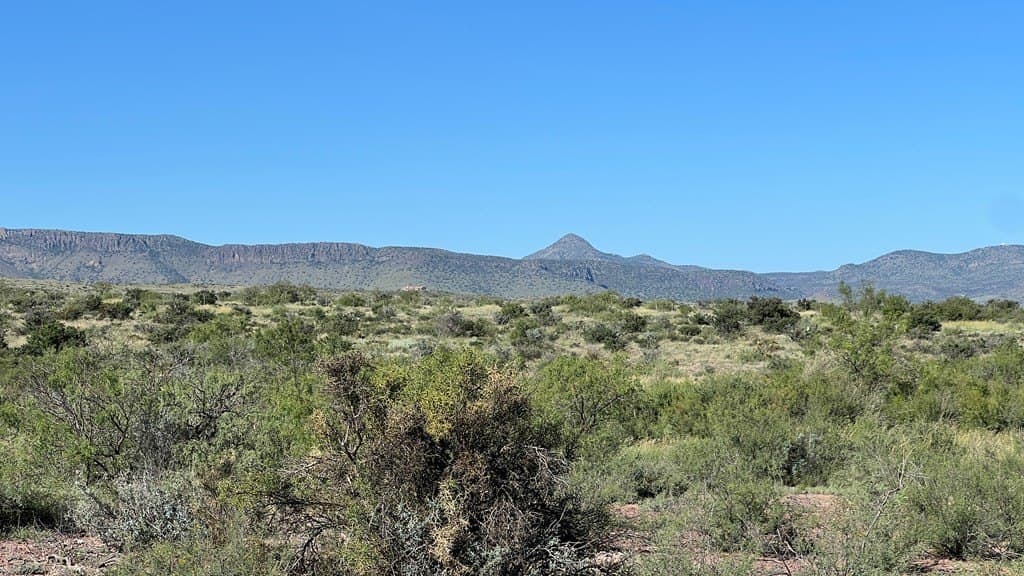 11.3 acres in Brewster County - photo 3