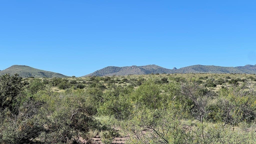 11.3 acres in Brewster County - photo 5