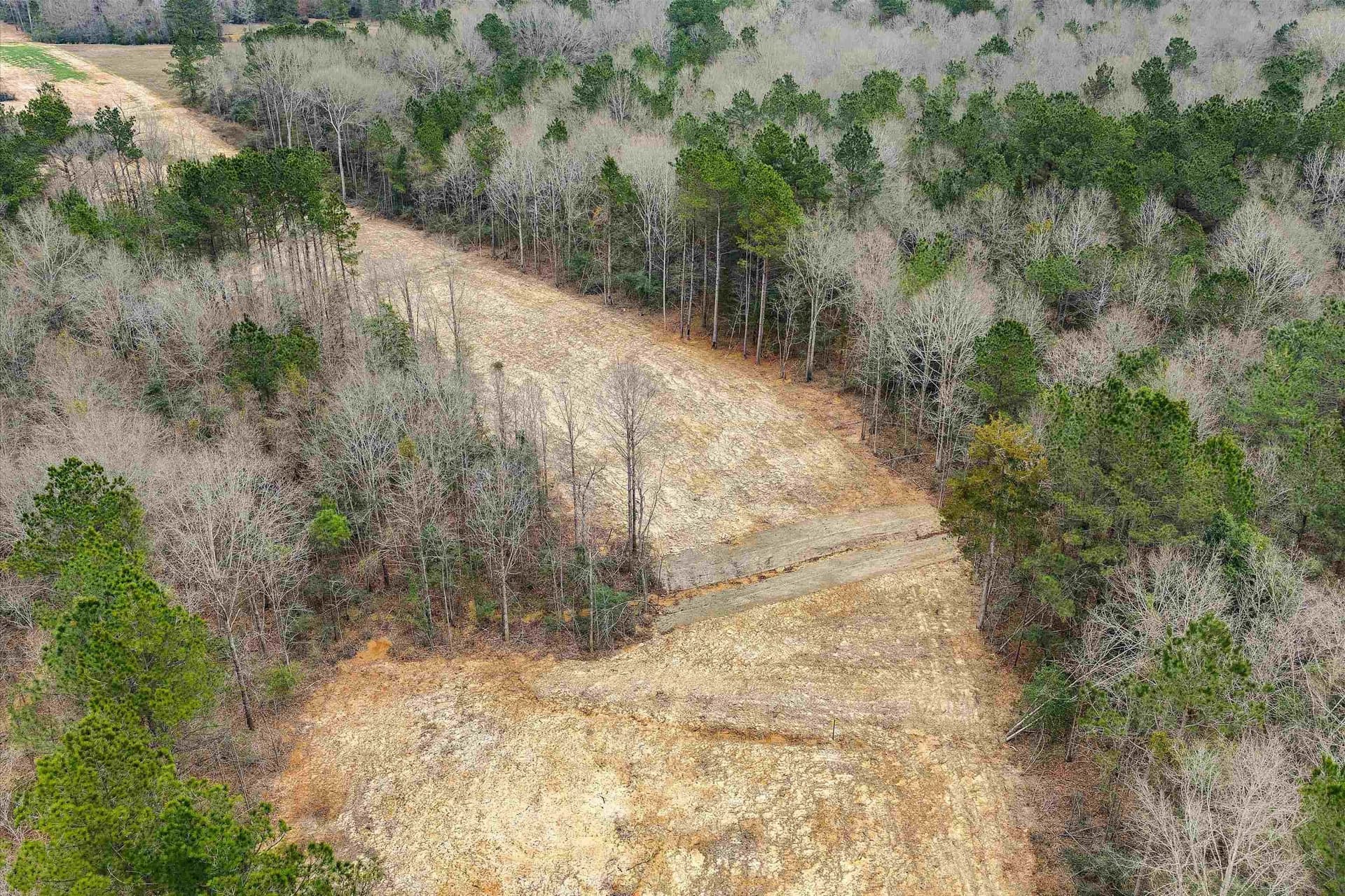 28.82 acres in Shelby County - photo 5