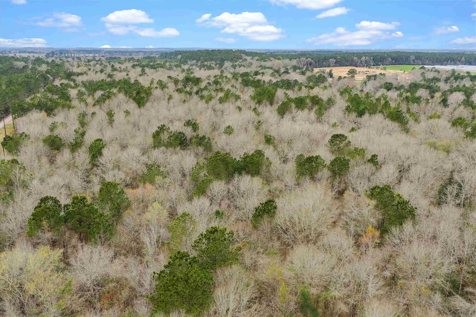 28.82 acres in Shelby County - photo 3