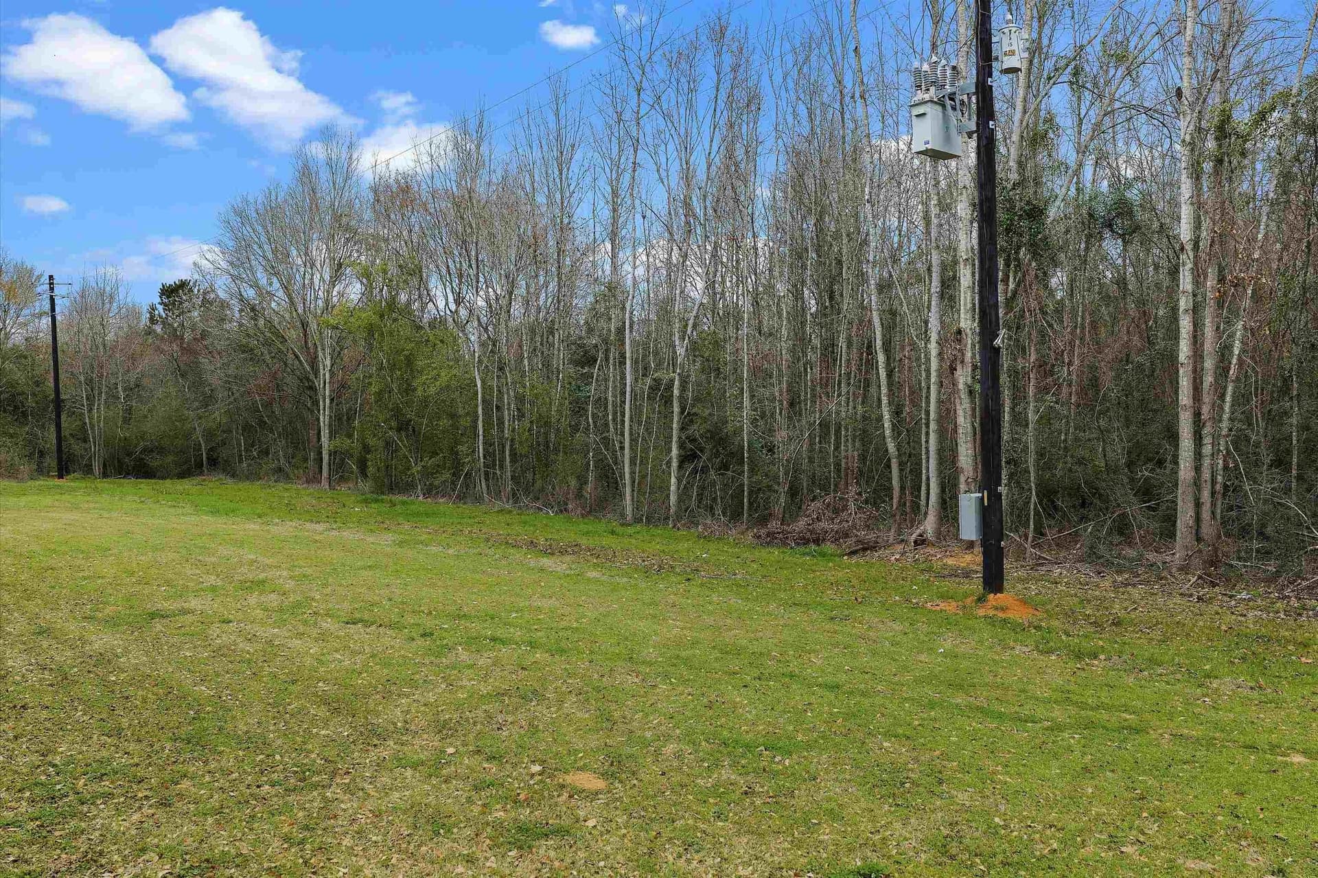28.82 acres in Shelby County - photo 4