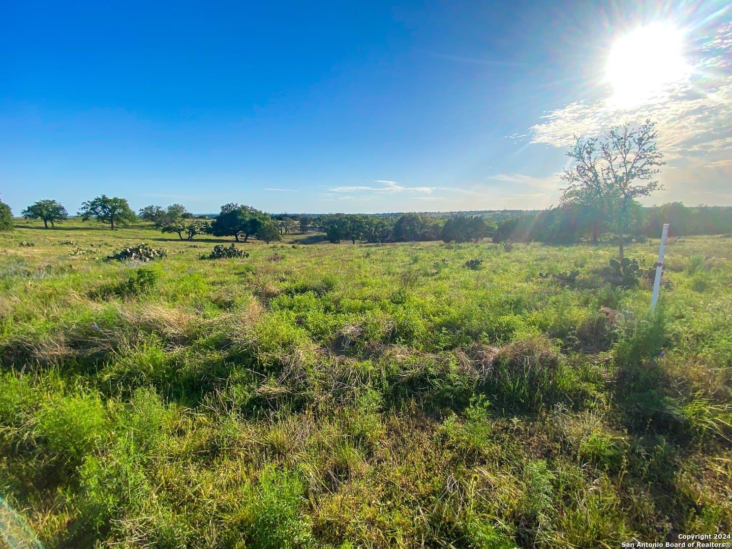 4.32 acres in Gillespie County - photo 3