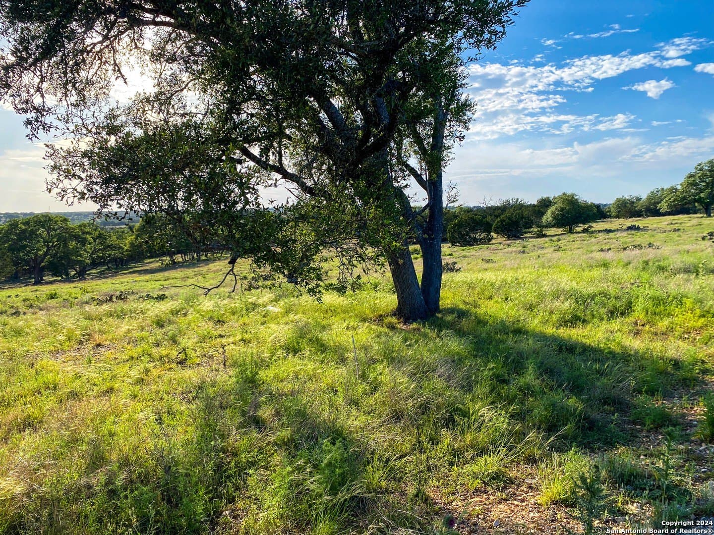 4.32 acres in Gillespie County - photo 4