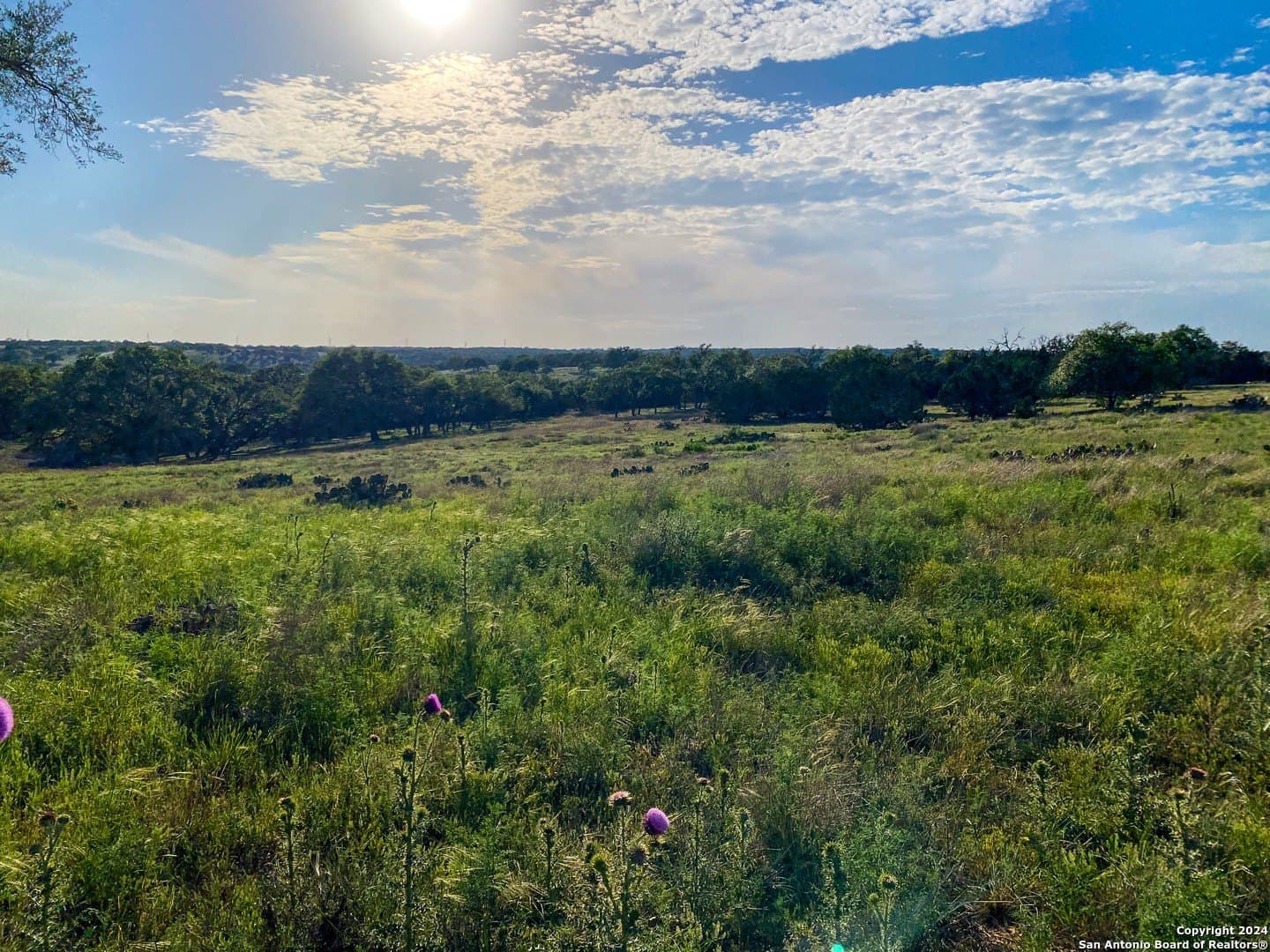 4.32 acres in Gillespie County - photo 5