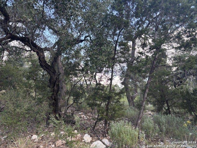 10.68 acres in Comal County - photo 13