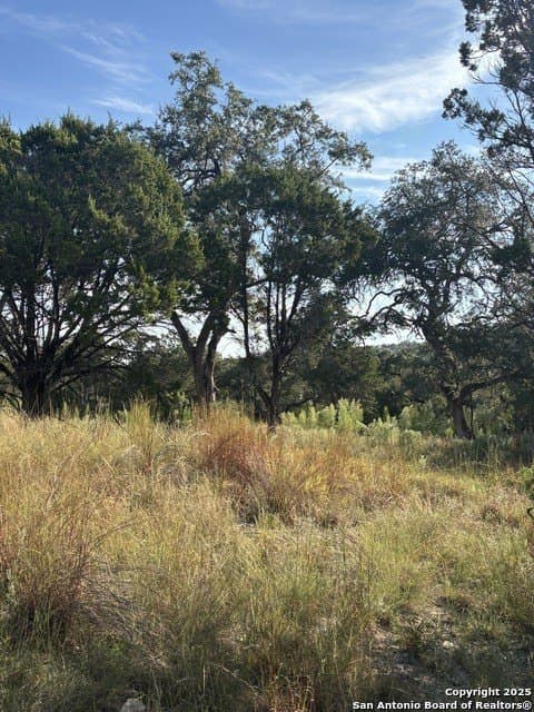 10.68 acres in Comal County - photo 4