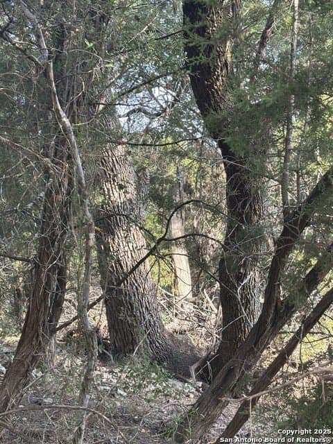 10.68 acres in Comal County - photo 8