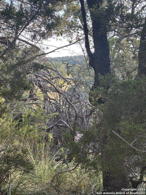 10.68 acres in Comal County - photo 2