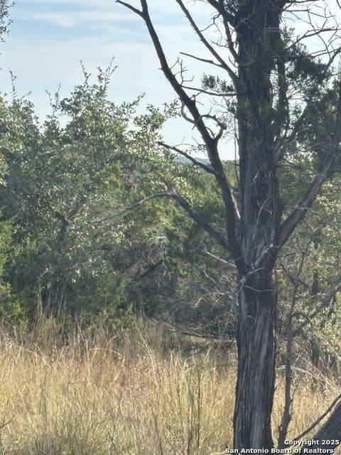 10.68 acres in Comal County - photo 3