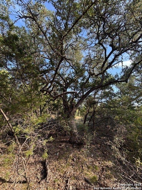 10.68 acres in Comal County - photo 9