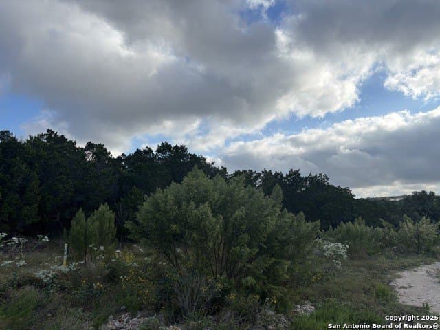 10.68 acres in Comal County - photo 12