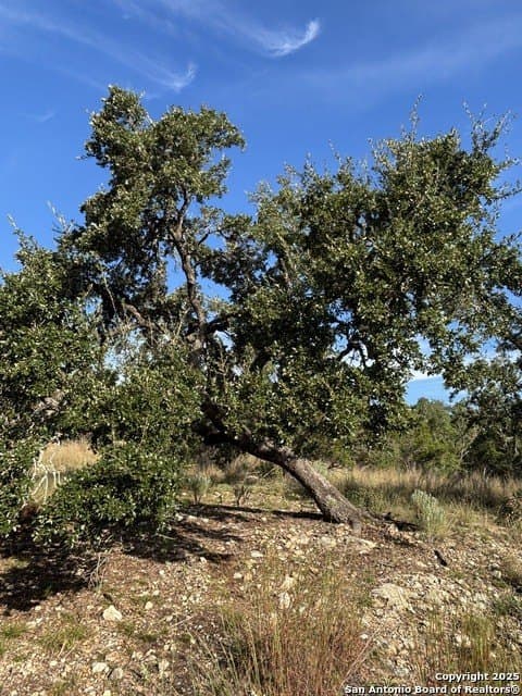 10.68 acres in Comal County - photo 6