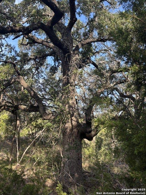 10.68 acres in Comal County - photo 10