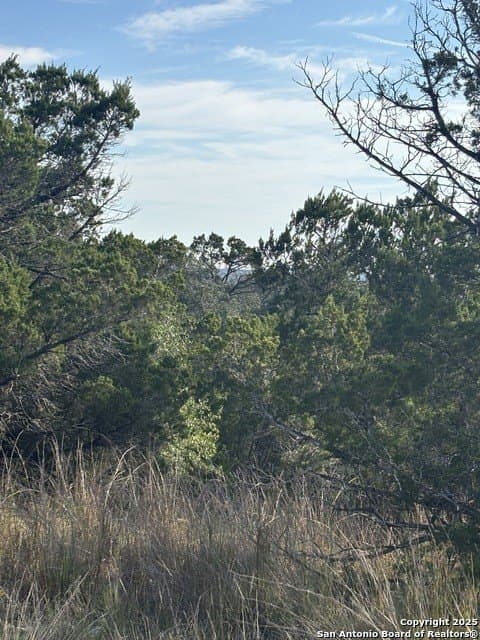 10.68 acres in Comal County - photo 5