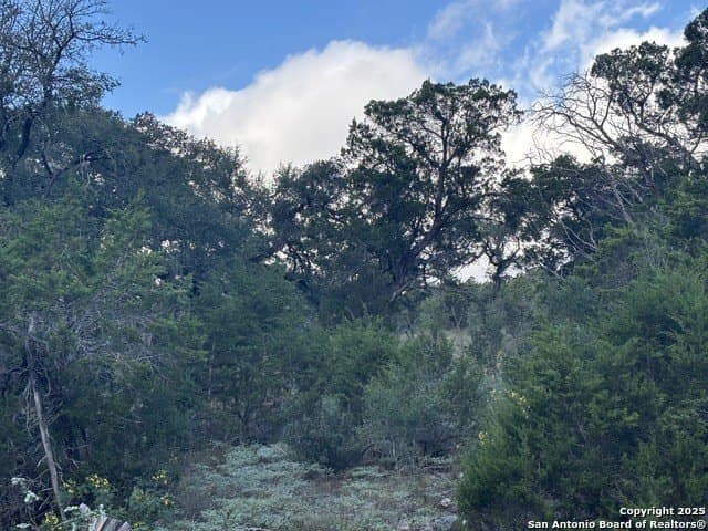 10.68 acres in Comal County - photo 11