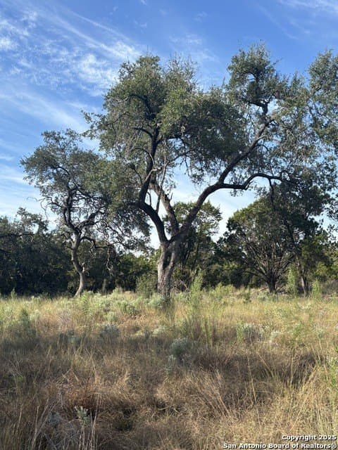 10.68 acres in Comal County - photo 7