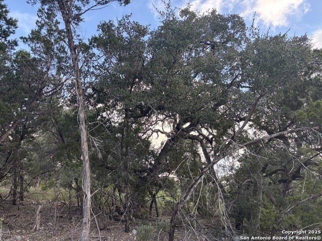 10.68 acres in Comal County - photo 14