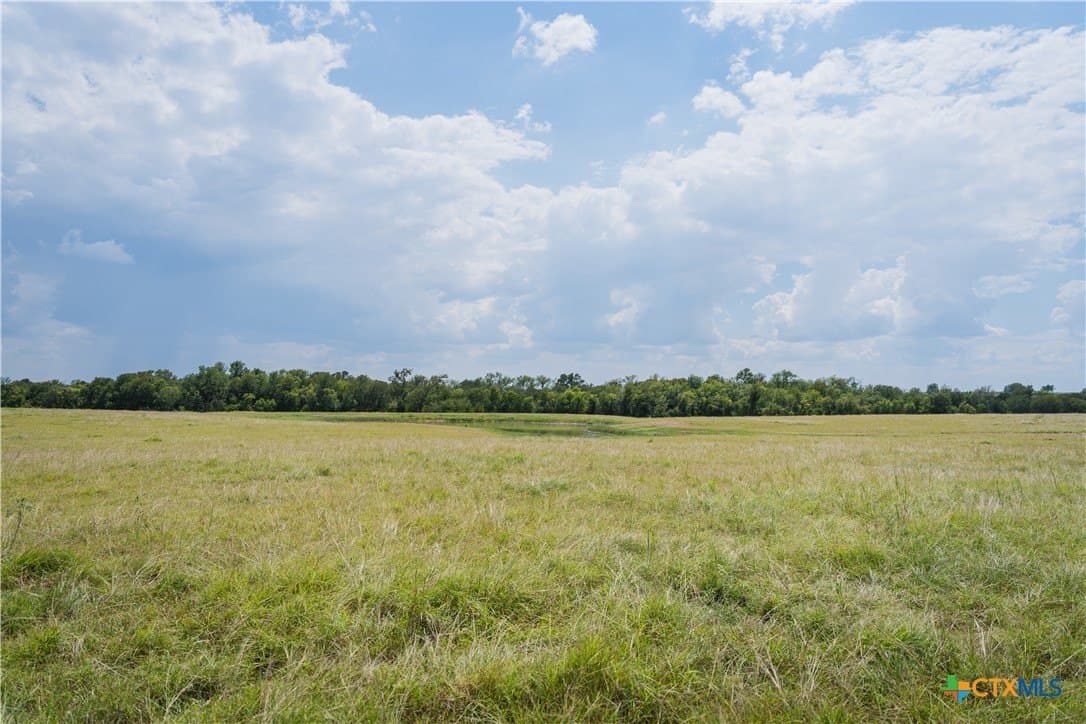 72 acres in Falls County - photo 31