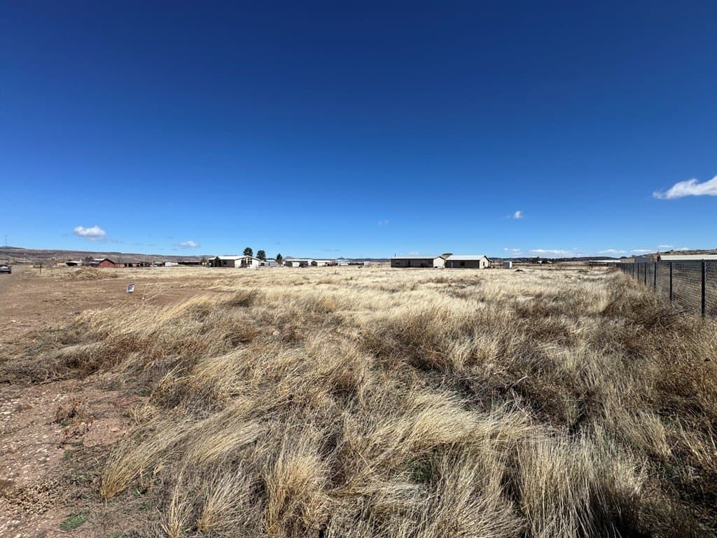 1.03 acres in Jeff Davis County - photo 2
