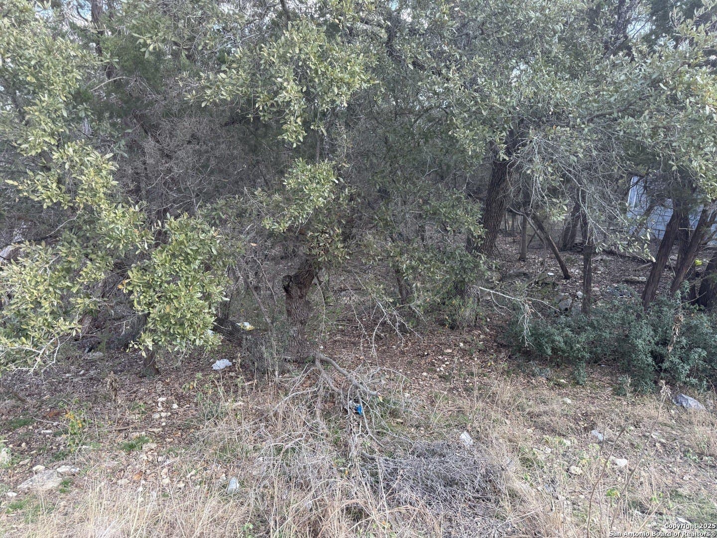 0.22 acres in Comal County - photo 4