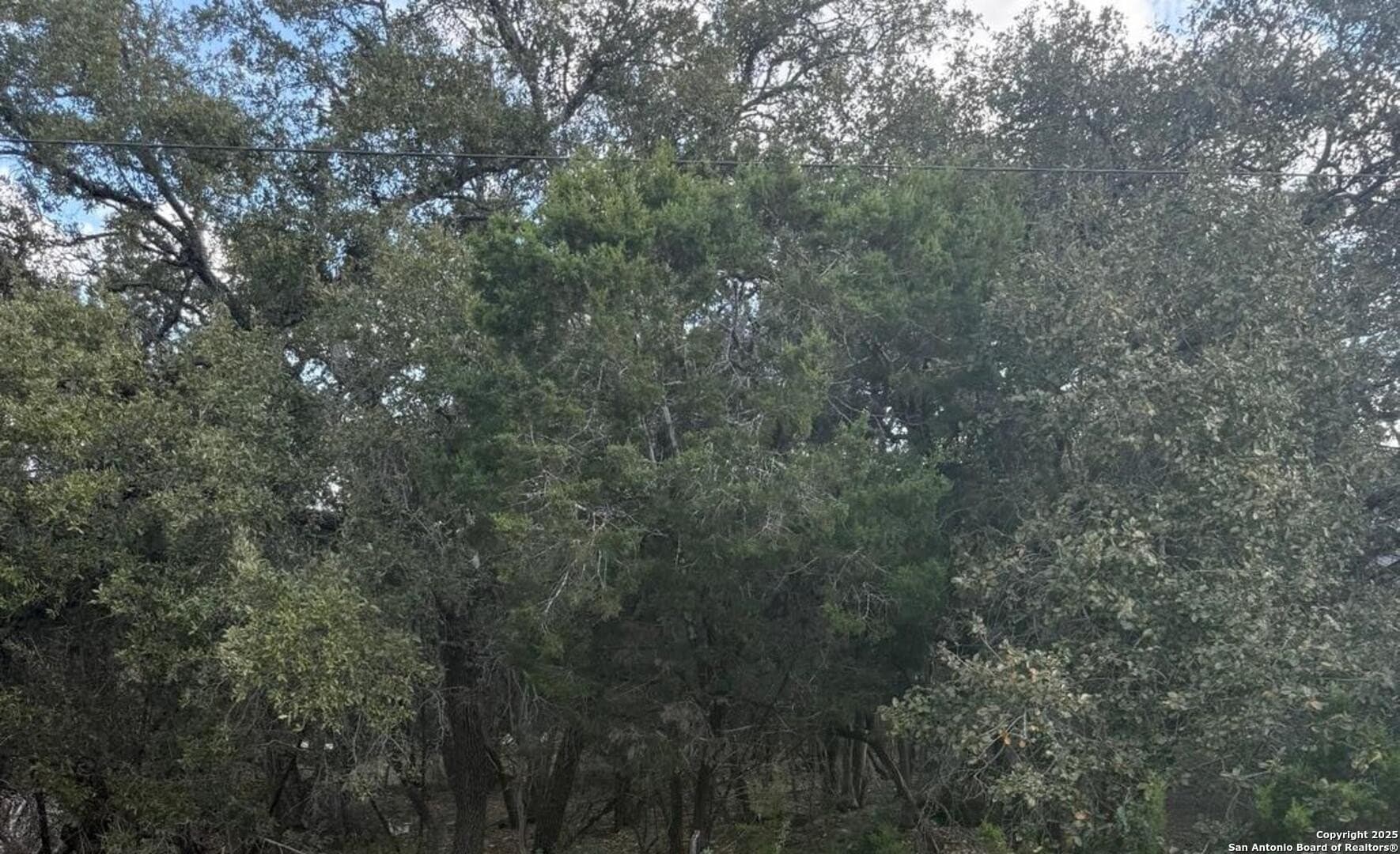0.22 acres in Comal County - photo 5
