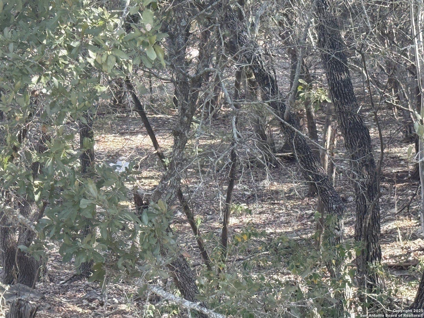 0.22 acres in Comal County - photo 3