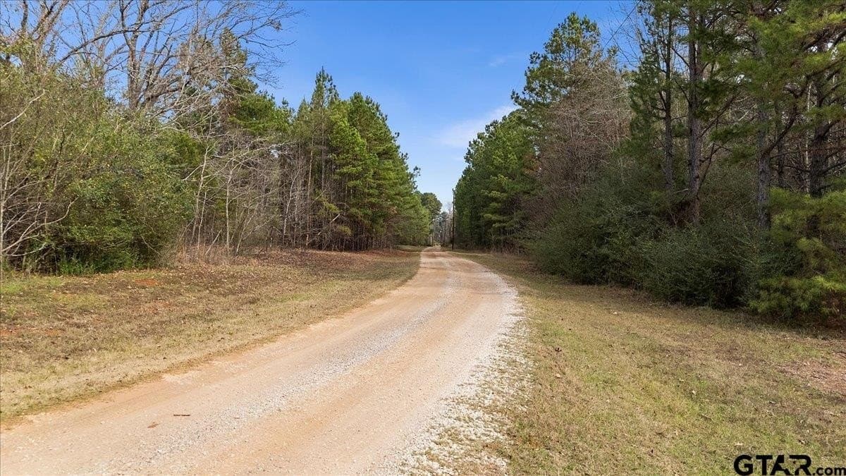 10 acres in Smith County - photo 35