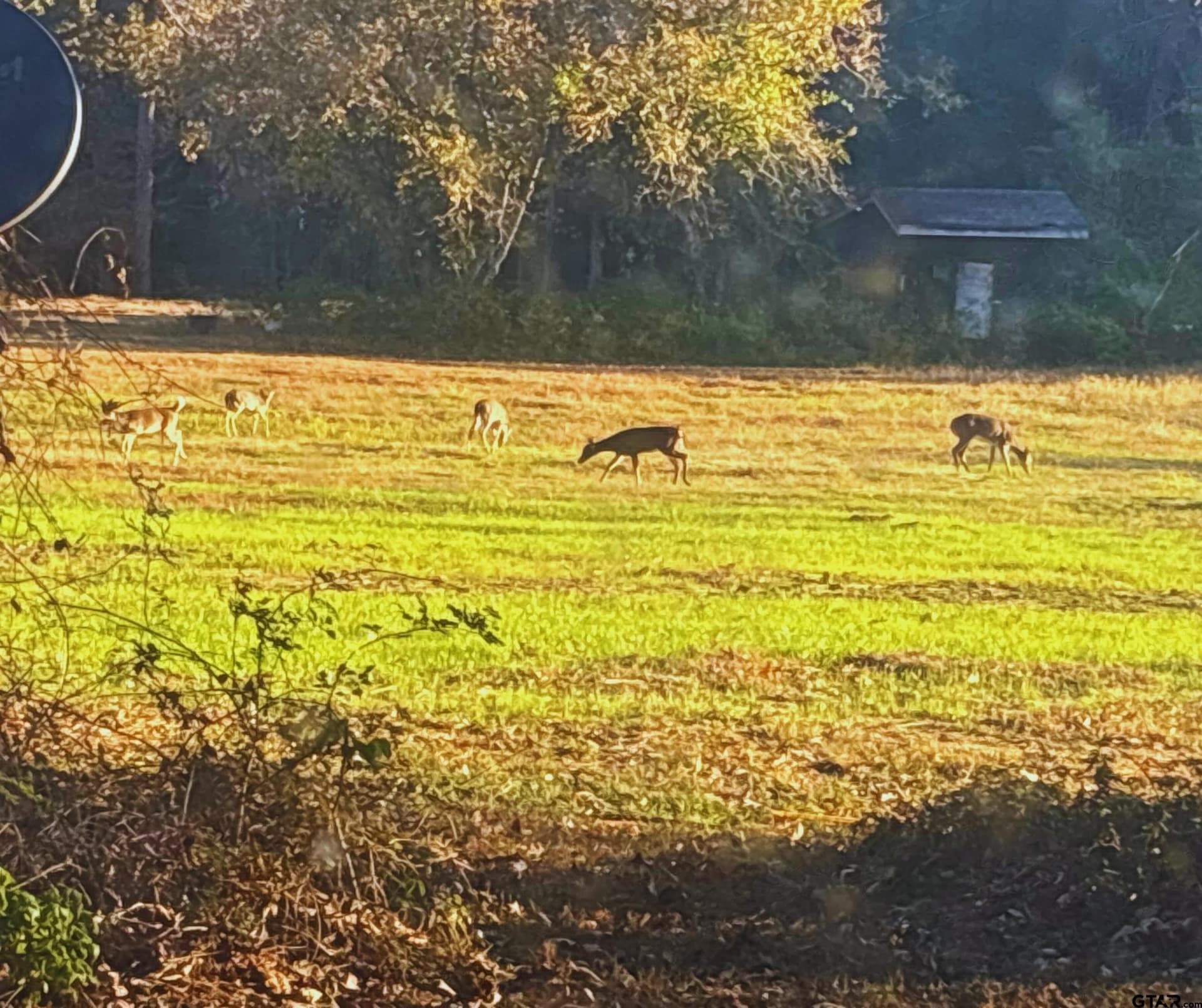 10 acres in Smith County - photo 46