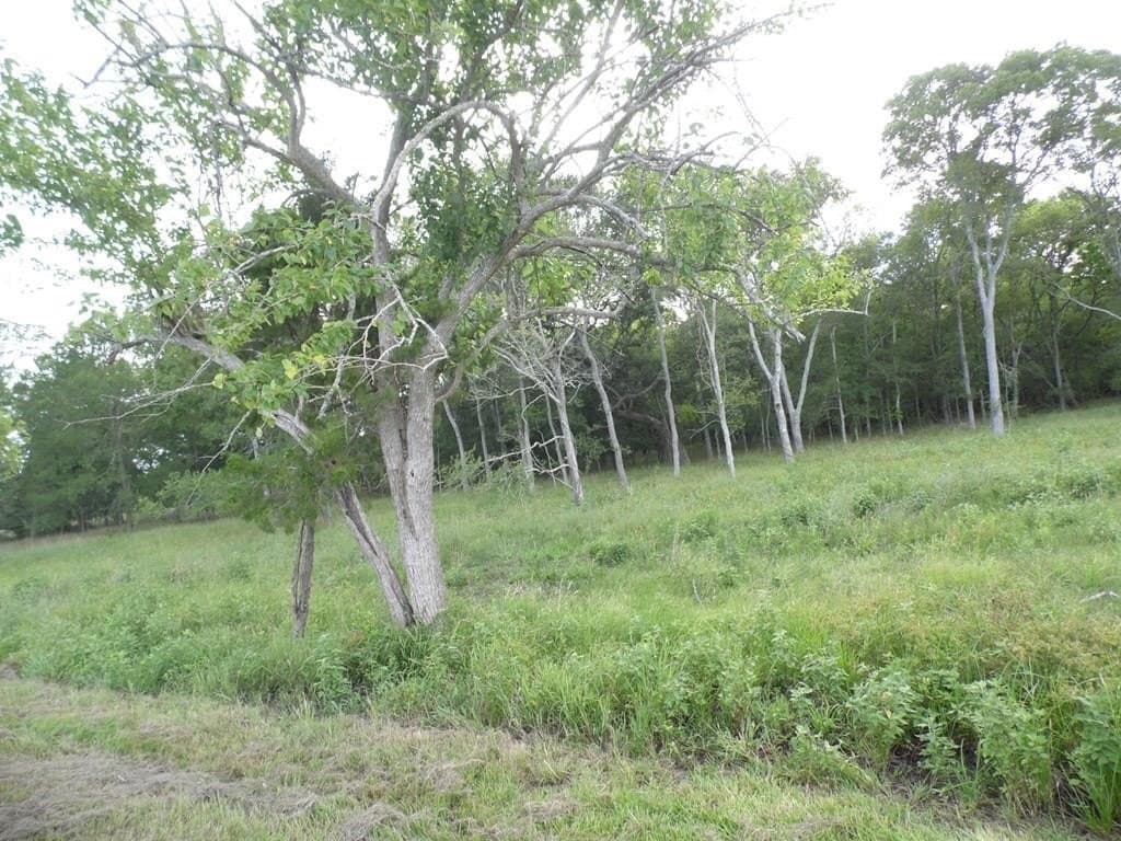 2.47 acres in Texas County - photo 2