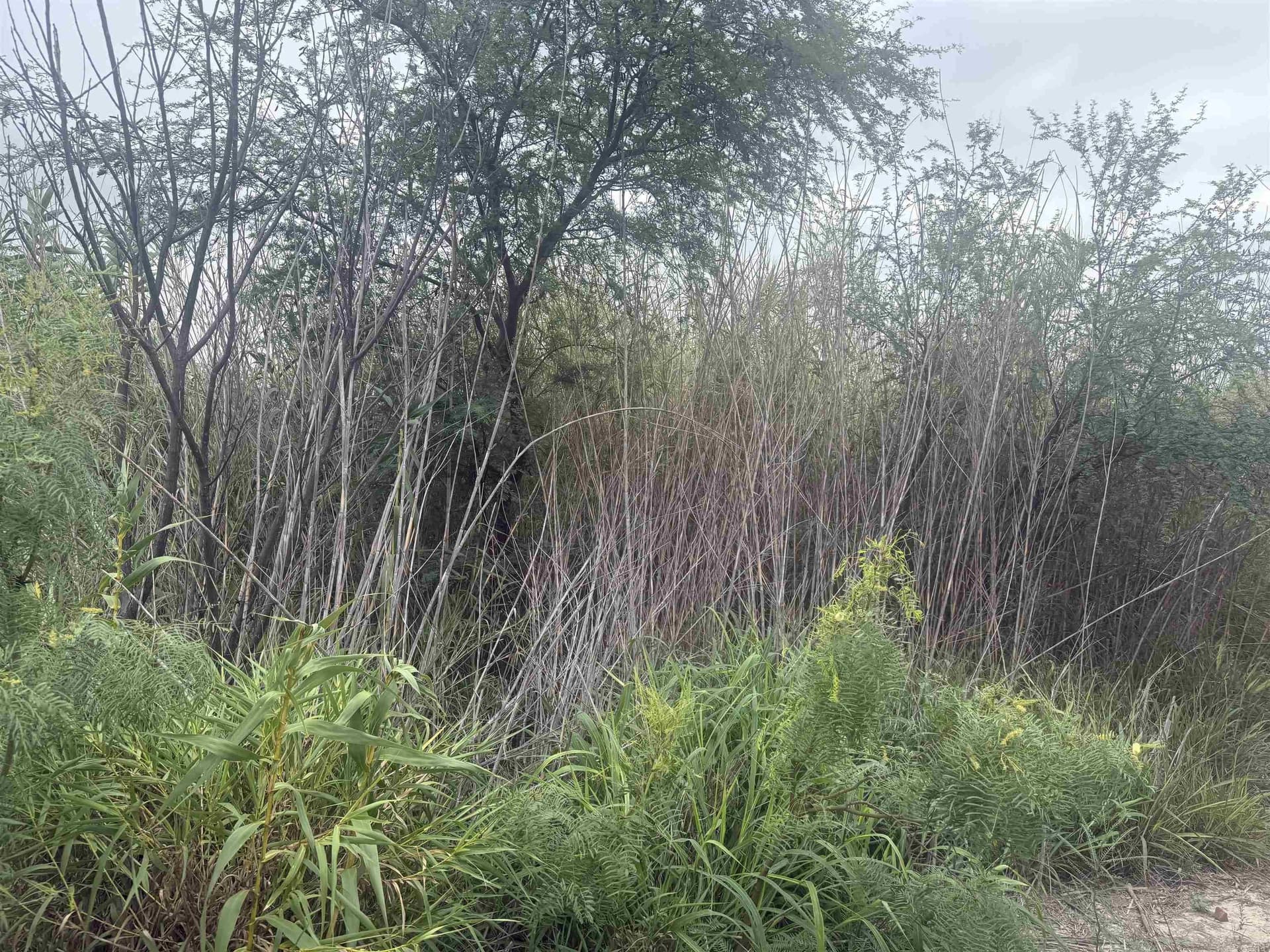 0.11 acres in Val Verde County - photo 4