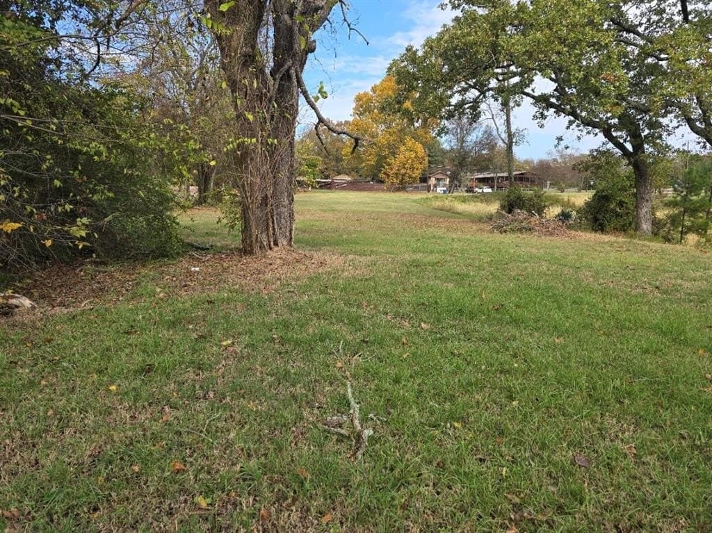 0.44 acres in Henderson County - photo 12